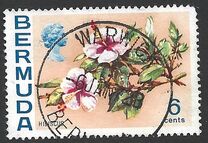 [Flowers, type EG]