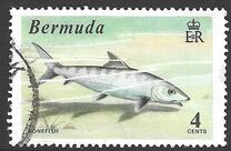 [World Fishing Records, Tip FM]