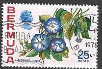 [Flowers, տեսակ GP]