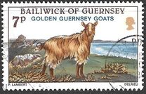[Golden Guernsey Goats, tip GE]