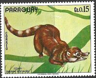 [South American Fauna, Typ AWY]