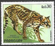 [South American Fauna, Typ AXB]