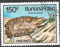 [Reptiles and Amphibians, tegund AM]