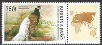 [Birds, տեսակ OP]
