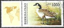 [Birds, տեսակ OQ]