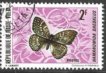 [Butterflies, type IZ]