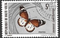 [Butterflies, type JB]