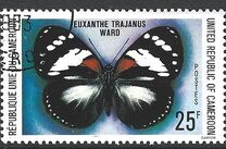 [Butterflies, τύπος UO]