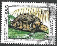 [Endangered Animals, type WV]