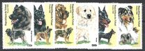 [Fauna - Dogs, 類型 BFU6]