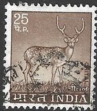 [Spotted Deer, type PE]