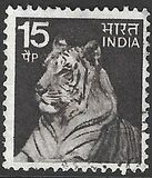 [Local Motifs, type PG]