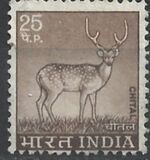 [Spotted Deer, type PE]