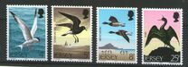 [Seabirds, тып CQ]