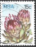 [Flora - Protea Plants, type PQ]