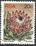 [Flora - Protea Plants, type PR]