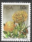 [Flora - Protea Plants, type PU]