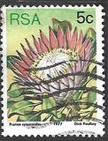 [Flora - Protea Plants, type PK1]