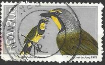 [Flora and Fauna, type NT]