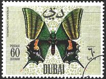 [Butteflies, jenis GG]