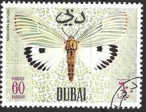 [Butteflies, jenis GJ]