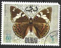 [Butteflies, Tip GK]