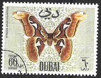 [Butteflies, Tip GL]