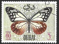 [Butteflies, Tip GN]