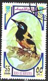 [Birds, тып UD]