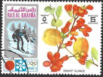 [Winter Olympic Games - Sapporo, Japan, type UQ]