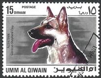 [Dogs, tip HB]