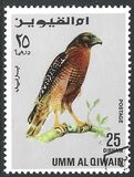 [Birds - Falcons, type HR]