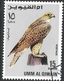 [Birds - Falcons, type HQ]