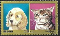 [Dogs and Cats, տեսակ YS]