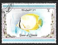 [Tropical Fish, type ACM]