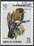 [Birds - Falcons, type HT]