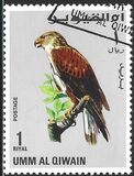 [Birds - Falcons, type HU]