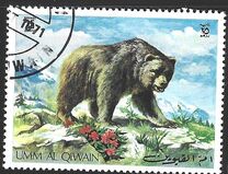 [Wild Animals, tip RN]