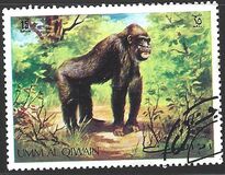 [Wild Animals, tip RL]