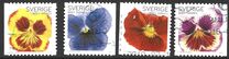 [Flowers - Self Adhesive, type CGN]