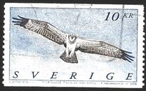 [Birds of Prey - Osprey, type BNU]