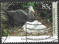[Antarctic Wildlife, type CN]