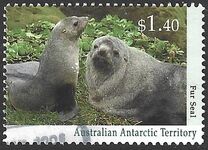[Antarctic Wildlife, Scrivi CR]