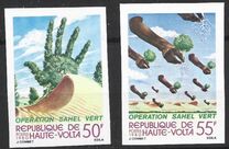 [Operation "Green Sahara", type ZH]