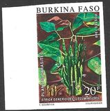 [Parasitic Plants, type IB]