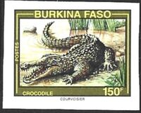[Nile Crocodile, Вид MB8]