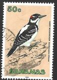 [Birds, タイプ VP]