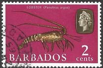 [Marine Life, タイプ DQ]