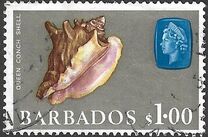 [Marine Life, タイプ EB]