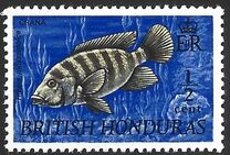[Wildlife - Fish, tegund DT]